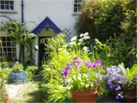Haus mit Garten